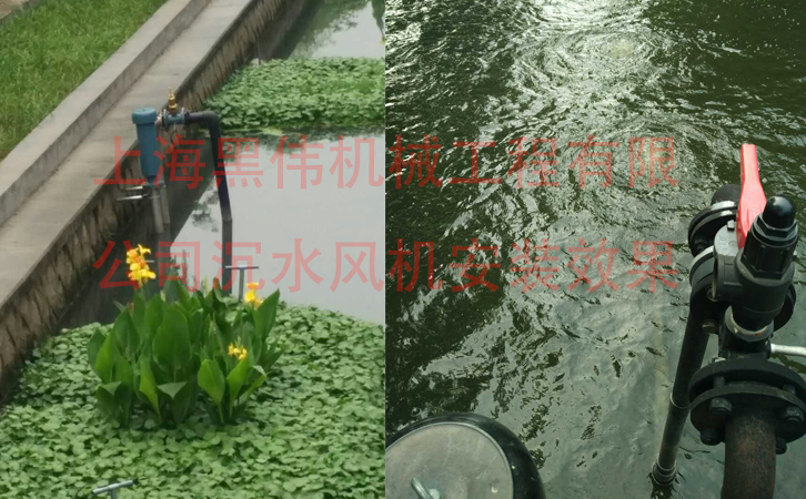 沉水小蝌蚪视频黄在施工現場如何安裝？