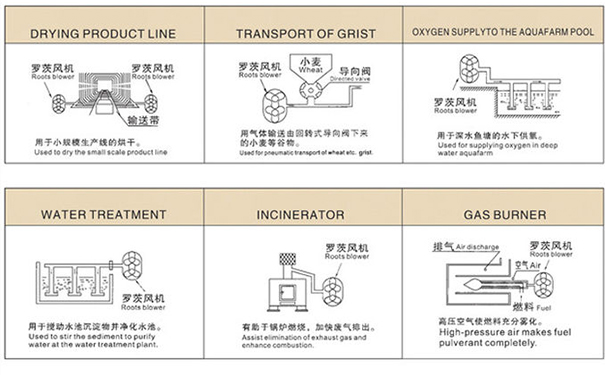 羅茨小蝌蚪视频黄用途