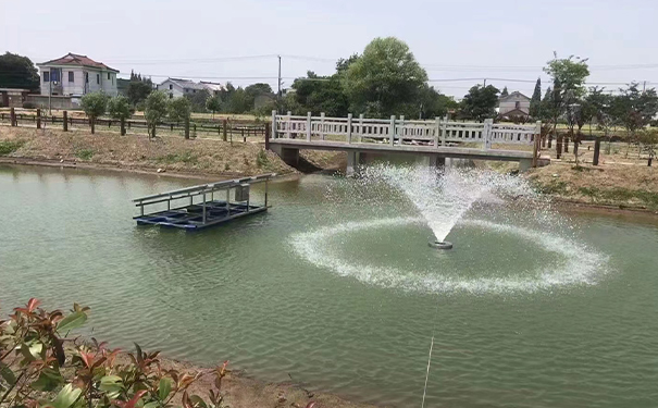 活躍池水，保護水質！選購曝氣小蝌蚪视频黄必看！